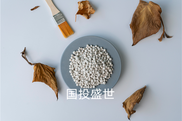沸石分子篩干燥及凈化領(lǐng)域的應(yīng)用，國投盛世