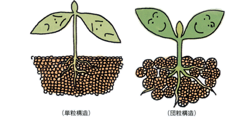 沸石如何應用于土壤改良領域？