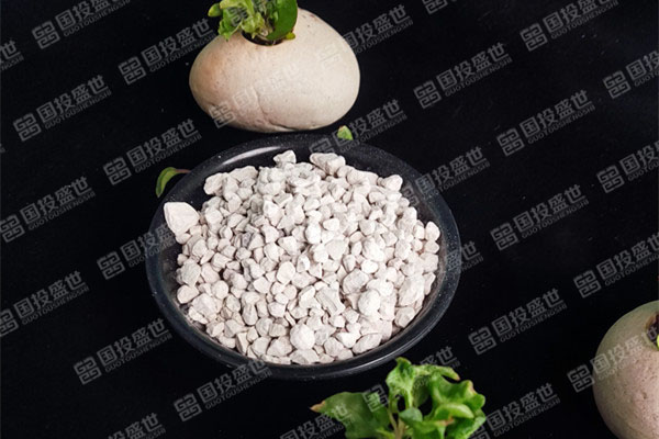 種植多肉植物時(shí)應(yīng)用國(guó)投盛世沸石的好處