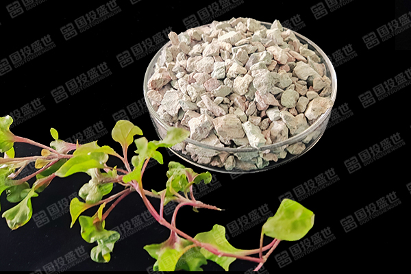 沸石在生態(tài)平衡領(lǐng)域的應(yīng)用-國投盛世