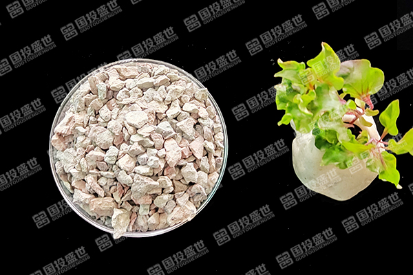 沸石：草魚養殖的隱形助手
