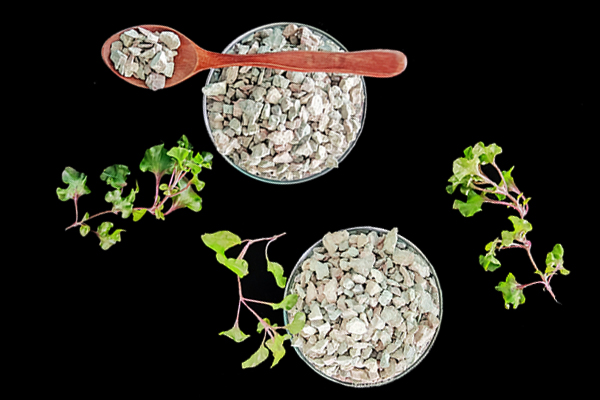 種植黃豆時能使用沸石嗎？-國投盛世