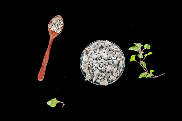 如何確保沸石在農(nóng)業(yè)中的使用不會對土壤微生物平衡產(chǎn)生負面影響?