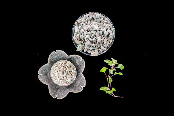 天然沸石對花生種植有何影響？