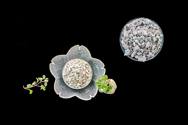 種植生菜時(shí)使用沸石能增產(chǎn)嗎？